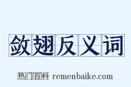 敛翅反义词是什么意思的图片